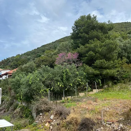 Studios&apartments Thomas *