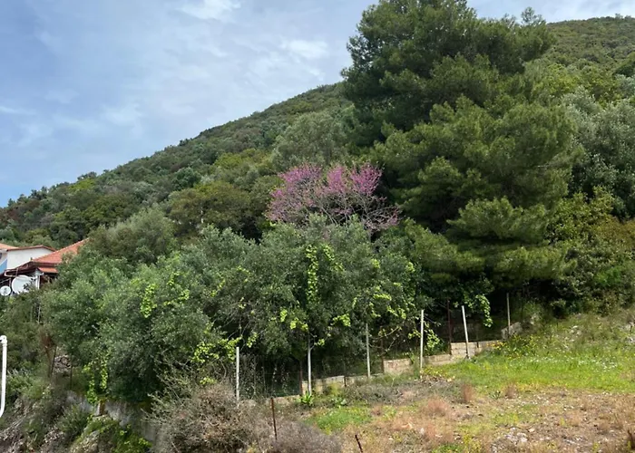 Studios&apartments Thomas *